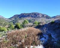 Resale - Plots and Land - Planes