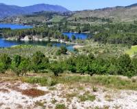 Resale - Plots and Land - Planes