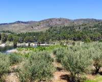 Resale - Plots and Land - Planes