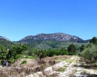 Resale - Plots and Land - Planes