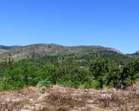 Resale - Plots and Land - Planes