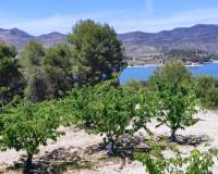 Resale - Plots and Land - Planes