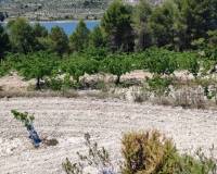 Resale - Plots and Land - Planes