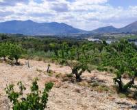 Resale - Plots and Land - Planes