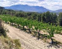 Resale - Plots and Land - Planes