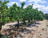 Resale - Plots and Land - Planes