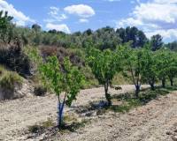 Resale - Plots and Land - Planes