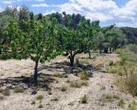 Resale - Plots and Land - Planes