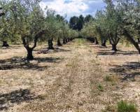 Resale - Plots and Land - Planes