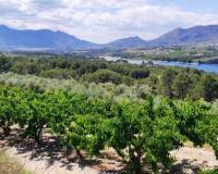 Resale - Plots and Land - Planes