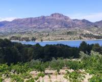 Resale - Plots and Land - Planes