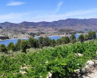 Resale - Plots and Land - Planes