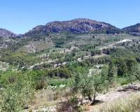 Resale - Plots and Land - Planes