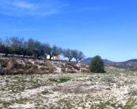 Resale - Plots and Land - Planes