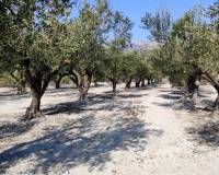 Resale - Plots and Land - Planes