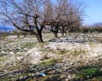 Resale - Plots and Land - Planes