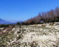 Resale - Plots and Land - Planes