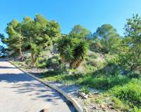 Resale - Plots and Land - San Miguel de Salinas