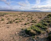 Resale - Plots and Land - Yecla