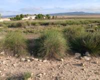 Resale - Plots and Land - Yecla