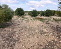 Resale - Plots and Land - Yecla