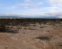 Resale - Plots and Land - Yecla