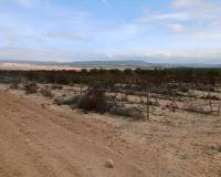 Resale - Plots and Land - Yecla