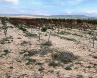 Resale - Plots and Land - Yecla