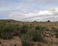 Resale - Plots and Land - Yecla