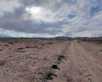 Resale - Plots and Land - Yecla