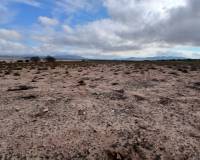 Resale - Plots and Land - Yecla