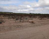 Resale - Plots and Land - Yecla