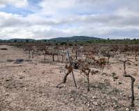 Resale - Plots and Land - Yecla