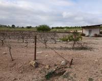 Resale - Plots and Land - Yecla