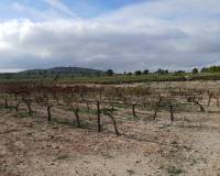 Resale - Plots and Land - Yecla