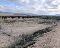 Resale - Plots and Land - Yecla