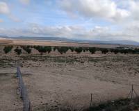 Resale - Plots and Land - Yecla