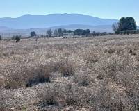 Resale - Plots and Land - Yecla