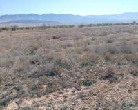 Resale - Plots and Land - Yecla