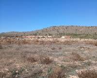 Resale - Plots and Land - Yecla