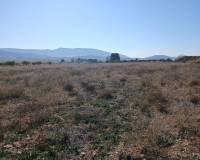Resale - Plots and Land - Yecla