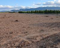 Resale - Plots and Land - Yecla