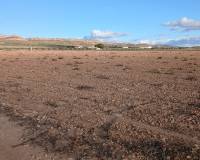 Resale - Plots and Land - Yecla