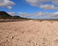 Resale - Plots and Land - Yecla