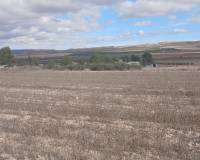 Resale - Plots and Land - Yecla