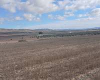 Resale - Plots and Land - Yecla