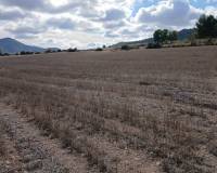 Resale - Plots and Land - Yecla