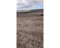 Resale - Plots and Land - Yecla