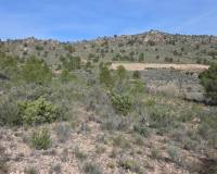 Resale - Plots and Land - Yecla