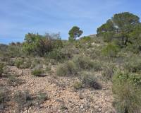 Resale - Plots and Land - Yecla